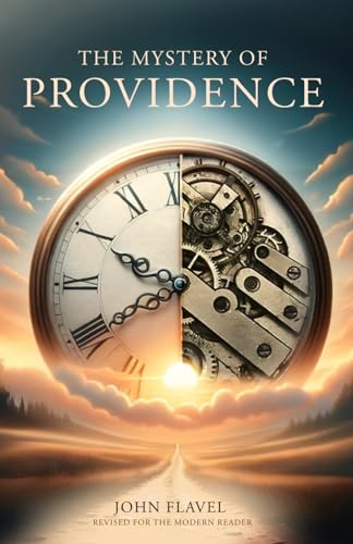 The Mystery of Providence: Discerning God's Guidance Through Every Stage of Life von Independently published
