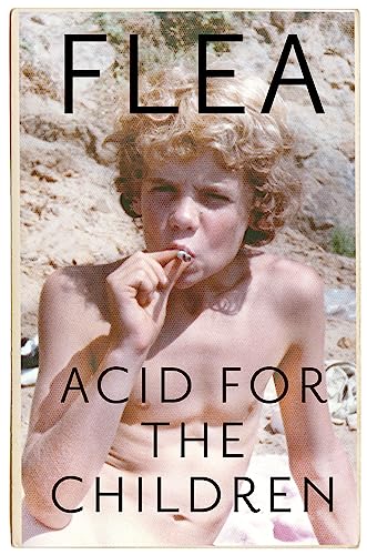 Acid For The Children: A memoir