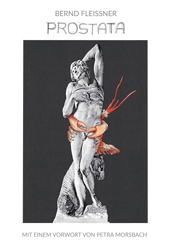 Prostata: mit einem Vorwort von Petra Morsbach von BoD – Books on Demand
