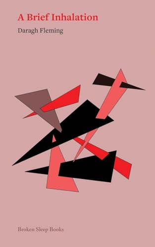 A Brief Inhalation von Broken Sleep Books
