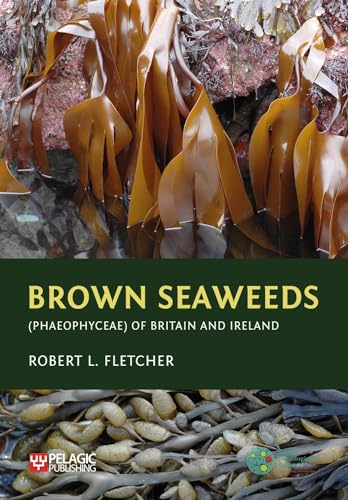 Brown Seaweeds Phaeophyceae of Britain and Ireland (Seaweeds of the British Isles)