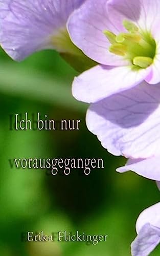 Ich bin nur vorausgegangen von CREATESPACE