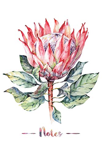 Notes: Watercolor Protea Flower Design, Composition Book/Notebook, 100 Pages, Medium College Ruled, 6 x 9 in (15.2 x 22.9 cm), Perfect for Studying, ... Doodling, Brainstorming and Journaling.