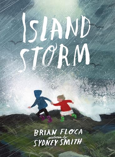 Island Storm von Neal Porter Books