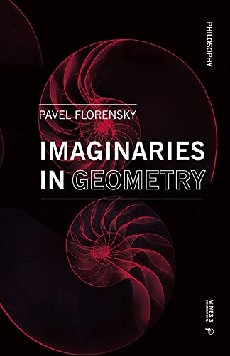 Imaginaries in Geometry (Philosophy, 40) von Mimesis International