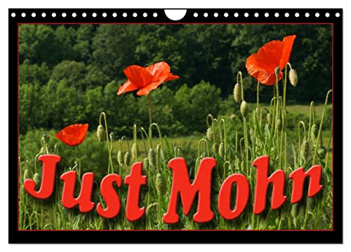 Just Mohn (Wandkalender 2024 DIN A4 quer), CALVENDO Monatskalender