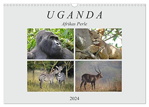 Afrikas Perle Uganda (Wandkalender 2024 DIN A3 quer), CALVENDO Monatskalender von CALVENDO