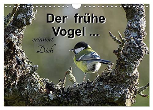 Der frühe Vogel ... erinnert Dich (Wandkalender 2024 DIN A4 quer), CALVENDO Monatskalender