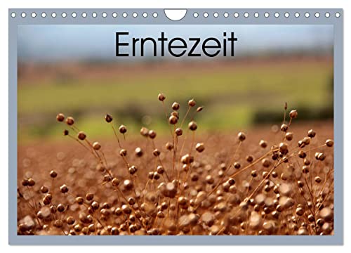 Erntezeit (Wandkalender 2024 DIN A4 quer), CALVENDO Monatskalender