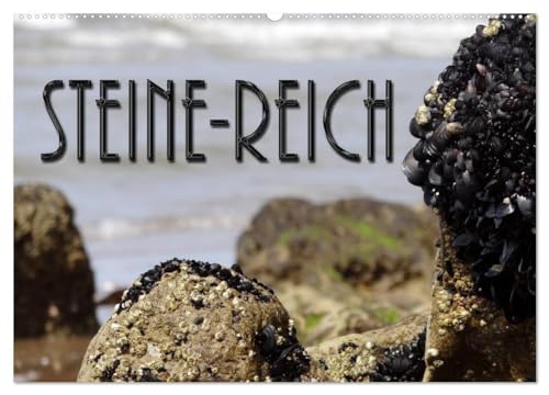 Steine-Reich (Wandkalender 2025 DIN A2 quer), CALVENDO Monatskalender: Steine aller Art üben eine Faszination aus - sie begegnen uns überall und man ... an ihnen vorübergehen. (CALVENDO Natur) von CALVENDO
