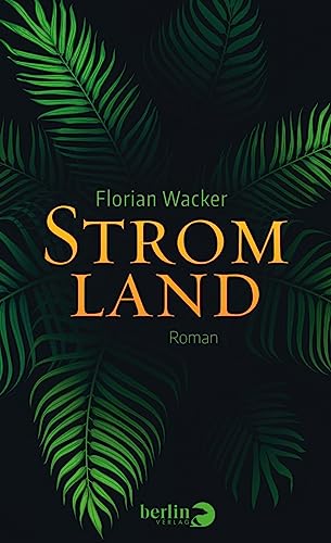Stromland: Roman von Berlin Verlag