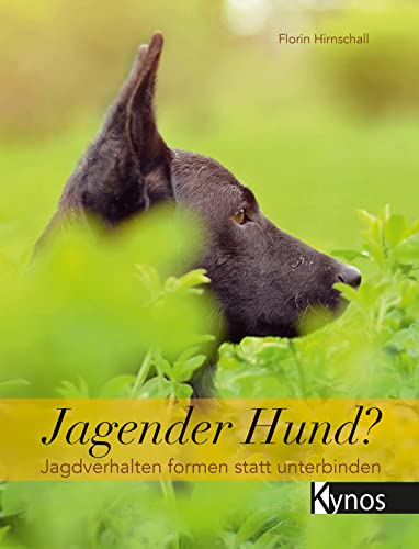 Jagender Hund?: Jagdverhalten formen statt unterbinden von Kynos Verlag