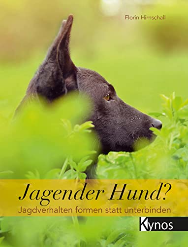 Jagender Hund?: Jagdverhalten formen statt unterbinden