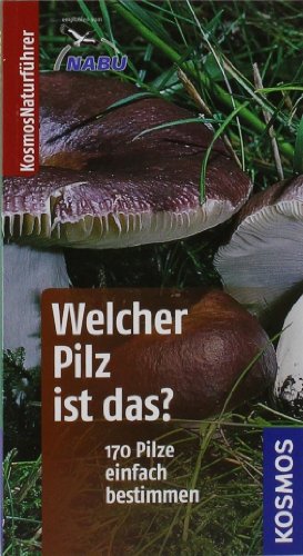 Welcher Pilz ist das?