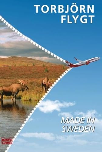 Made in Sweden: Roman. Ausgezeichnet mit dem Augustpreis / Schweden 2001 (Allgemeine Reihe. Bastei Lübbe Taschenbücher)