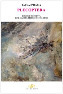 Plecoptera Plecoptera von Edagricole