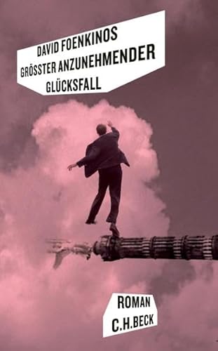 Größter anzunehmender Glücksfall: Roman Größter anzunehmender Glücksfall: Roman