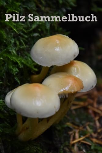 Pilz Sammelbuch: Pilz-Logbuch | Pilze Sammelbuch | A5 | 120 Seiten | Taschenbuch | Selbst ausfüllbar | Einfache Handhabung | Vorgefertigte Spalten, ... Ein Muss für jeden passionierten Pilzsammler Pilz Sammelbuch: Pilz-Logbuch | Pilze Sammelbuch | A5 | 120 Seiten | Taschenbuch | Selbst ausfüllbar | Einfache Handhabung | Vorgefertigte Spalten, ... Ein Muss für jeden passionierten Pilzsammler
