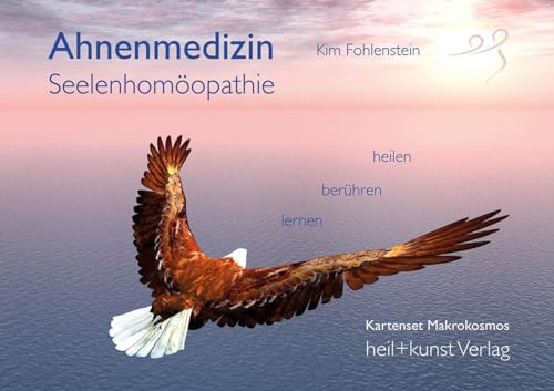 Ahnenmedizin und Seelenhomöopathie - Kartenset Makrokosmos: 108 Karten mit Begleitbuch