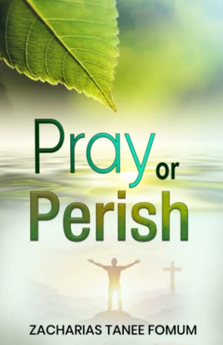 Pray or Perish (Prayer Power Series, Band 27) von Independently published