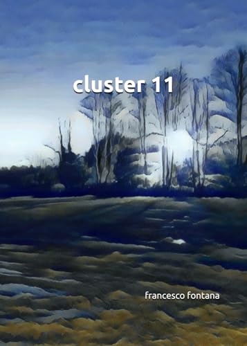 cluster 11 von Independently published