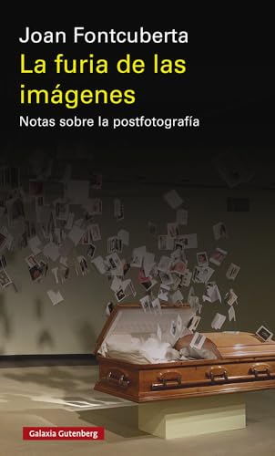 La furia de las imágenes- 2020: Notas sobre la postfotografía (Ensayo) von GALAXIA