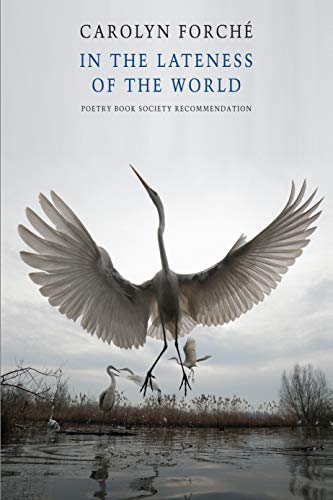 In the Lateness of the World: (international Edition)