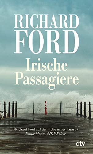 Irische Passagiere: Erzählungen von dtv Verlagsgesellschaft