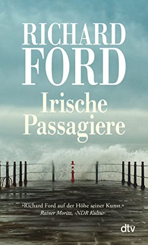 Irische Passagiere: Erzählungen