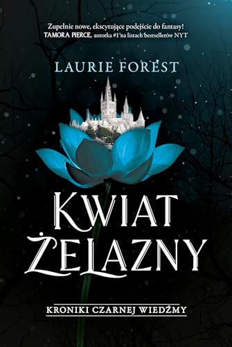 Kroniki Czarnej Wiedźmy: Kroniki Czarnej Wiedźmy Tom 2 (2) (Kwiat Żelazny, Band 2) von Marginesy