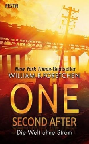 One Second After - Die Welt ohne Strom von Festa Verlag