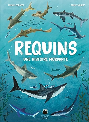 Requins: Une histoire mordante