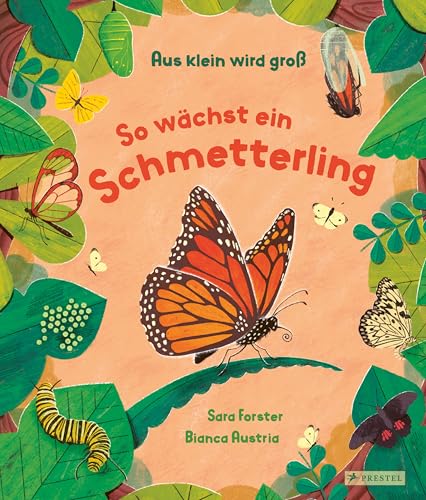 Aus klein wird groß. So wächst ein Schmetterling: Ein Sachbilderbuch für Kinder ab 3 Jahren von Prestel Verlag