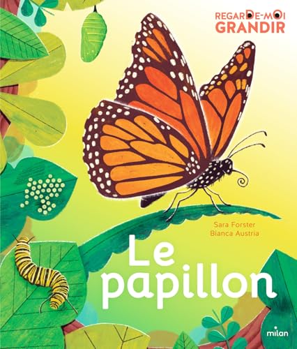 Regarde-moi grandir : le papillon von MILAN