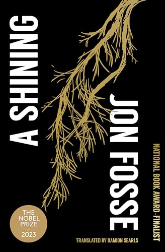A Shining von Transit Books