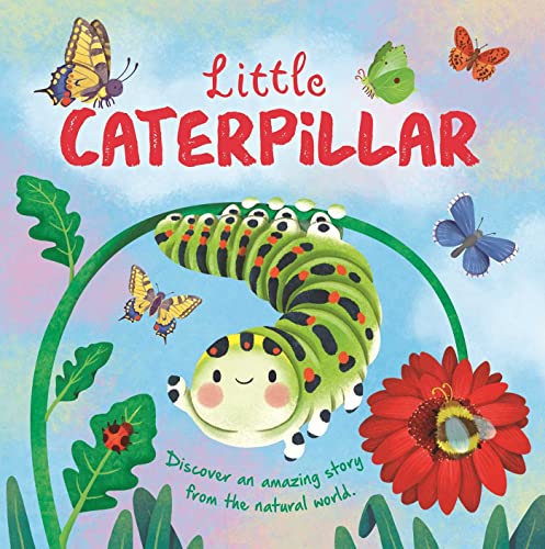 Little Caterpillar: Discover Amazing Story from the Natural World! Padded Board Book