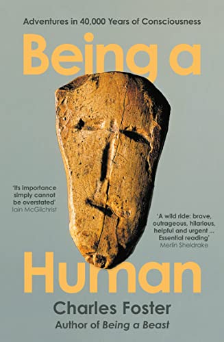 Being a Human: Adventures in 40,000 Years of Consciousness (Serpent's Tail Classics) von Profile Books