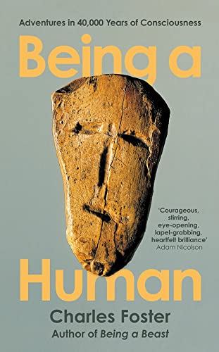 Being a Human: Adventures in 40,000 Years of Consciousness von Profile Books