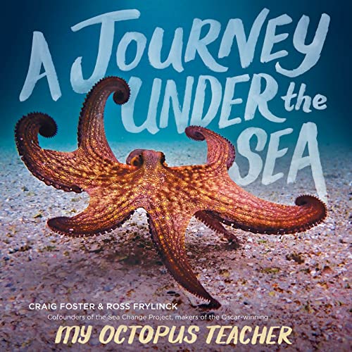 A Journey Under the Sea von Clarion Books