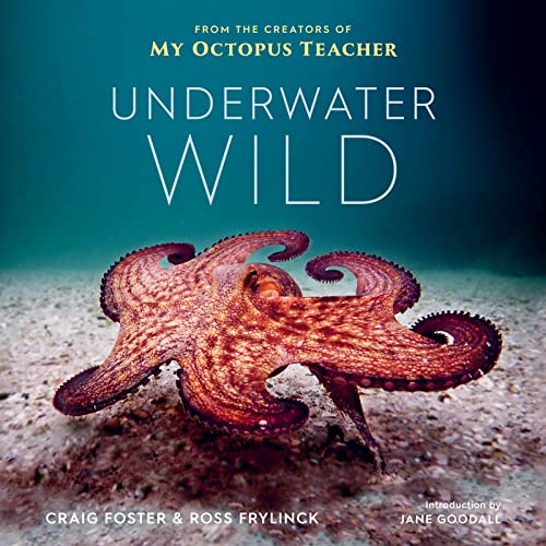 Underwater Wild: My Octopus Teacher's Extraordinary World von Mariner Books