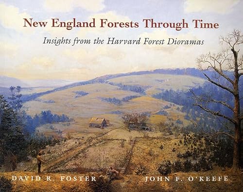 New England Forests Through Time - Insights From the Harvard Forest Dioramas (Harvard University Forest (HUP) von Harvard University Press