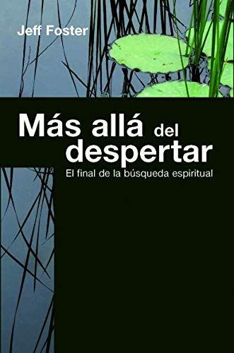 Más allá del despertar : el final de la búsqueda espiritual (Sabiduría Perenne)