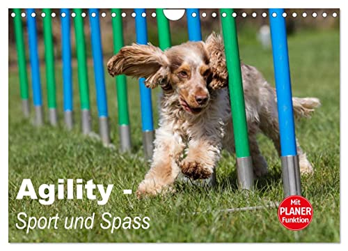 Agility - Sport und Spass (Wandkalender 2025 DIN A4 quer), CALVENDO Monatskalender von CALVENDO