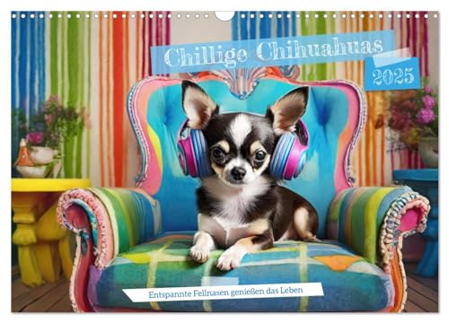 Chillige Chihuahuas - Entspannte Fellnasen genießen das Leben (Wandkalender 2025 DIN A3 quer), CALVENDO Monatskalender von CALVENDO