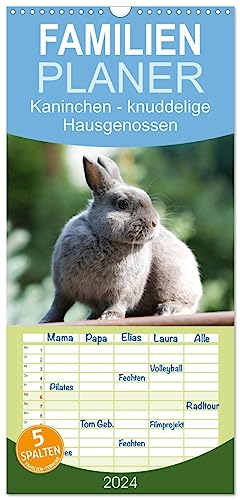Familienplaner 2024 - Kaninchen - knuddelige Hausgenossen mit 5 Spalten (Wandkalender, 21 cm x 45 cm) CALVENDO