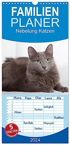 Familienplaner 2024 - Nebelung Katzen mit 5 Spalten (Wandkalender, 21 cm x 45 cm) CALVENDO