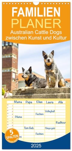 Familienplaner 2025 - Australian Cattle Dogs zwischen Kunst und Kultur mit 5 Spalten (Wandkalender, 21 cm x 45 cm), CALVENDO