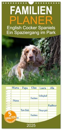 Familienplaner 2025 - English Cocker Spaniels - Ein Spaziergang im Park mit 5 Spalten (Wandkalender, 21 cm x 45 cm), CALVENDO