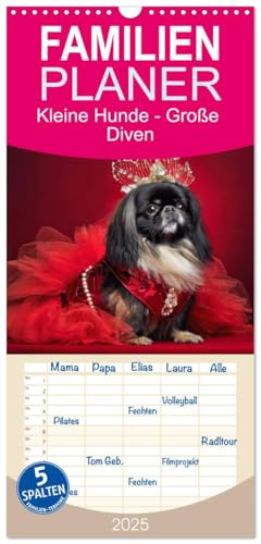 Familienplaner 2025 - Kleine Hunde - Große Diven mit 5 Spalten (Wandkalender, 21 cm x 45 cm), CALVENDO von CALVENDO