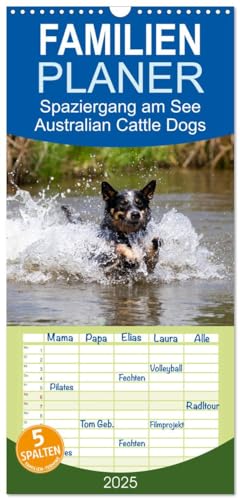 Familienplaner 2025 - Spaziergang am See Australian Cattle Dogs mit 5 Spalten (Wandkalender, 21 cm x 45 cm), CALVENDO von CALVENDO